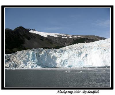 IMG_3501.jpg