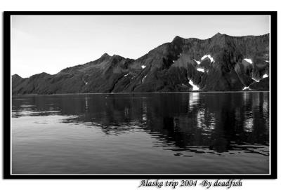 IMG_3525.jpg