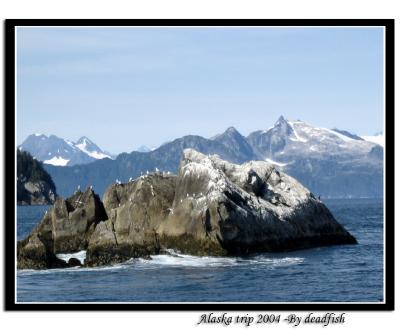 IMG_3533.jpg
