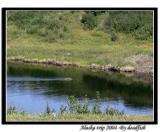 IMG_2529.jpg