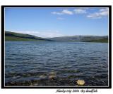 IMG_2533.jpg