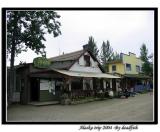 IMG_2819.jpg