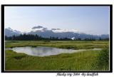 IMG_2912.jpg