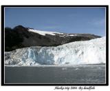 IMG_3501.jpg