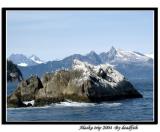 IMG_3533.jpg