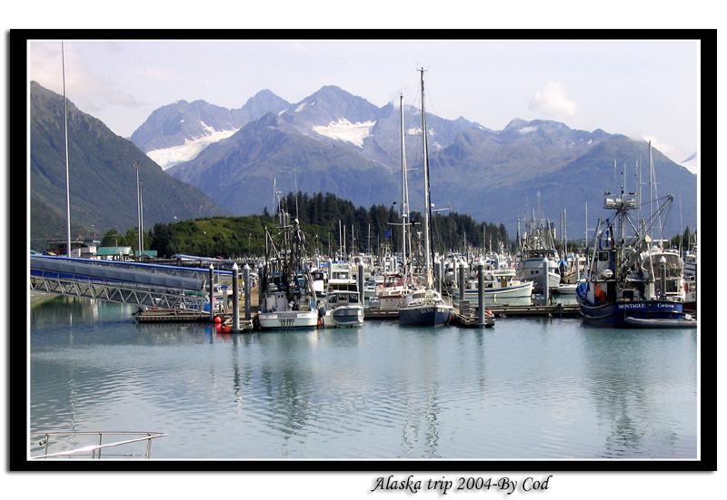 alaskapictures131.jpg