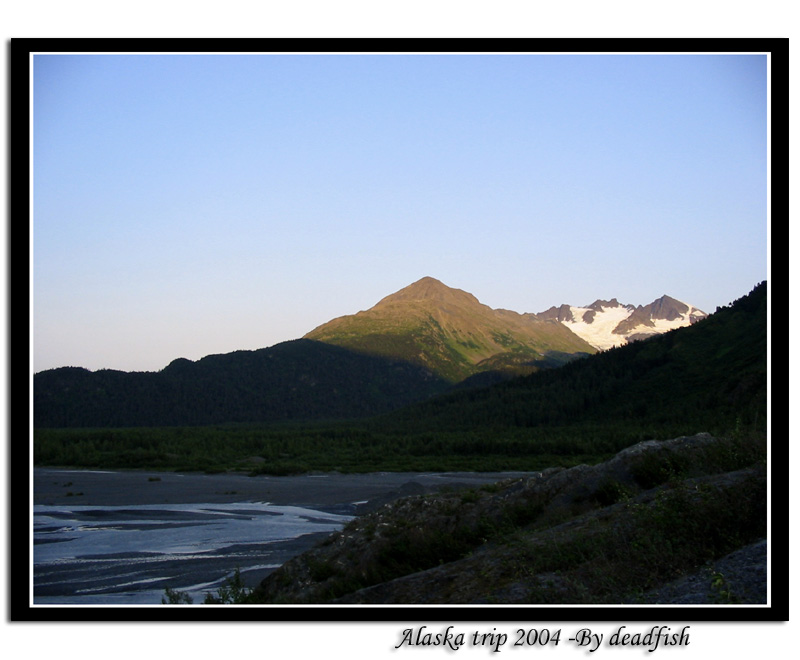 IMG_3124.jpg