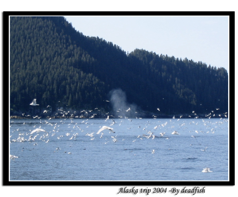 IMG_3423.jpg