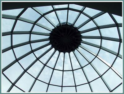 View to the Sky