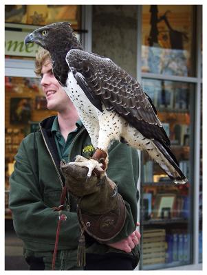 Eagle & Handler
