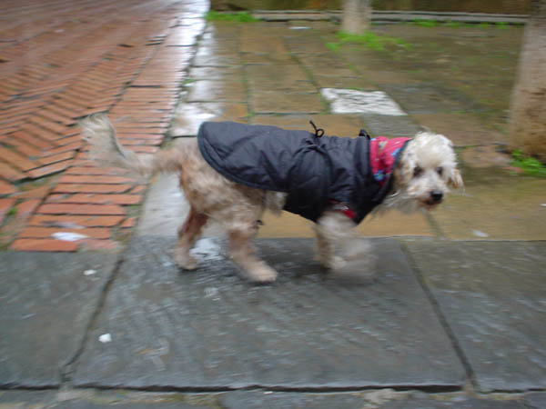 Its Cold