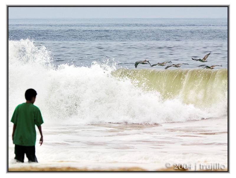 <b>Pelicans on the Surf</b>*<br><i>j trujillo</i>