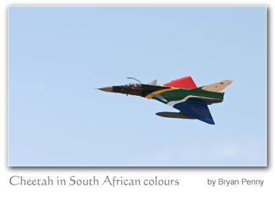 Cheetah in South African colours