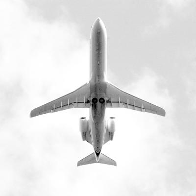 Flight*by Thomas K.