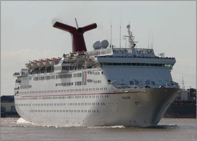 Why don't we go on a cruise? *
