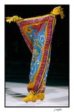 <b>Flying Carpet on Skates</b><br><i>j trujillo</i>