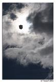 <b>Out of the Sun *</b>