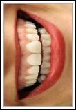 <b>5th Place</b><br><i>Deelight!<br>by Joe Reilly</i>