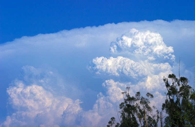 <B>High Flying Clouds*</B><br><i>by Larry</i>