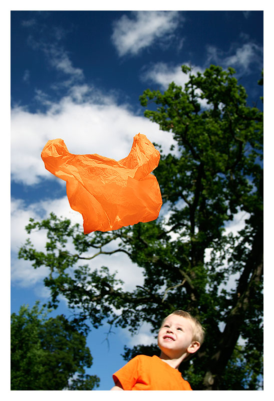 Blowing in the Wind*