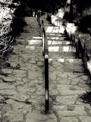 Pathways