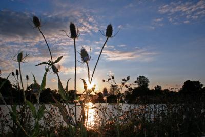 On Spencer Lake * by Billy Webb