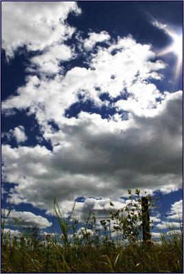 Field of Clouds