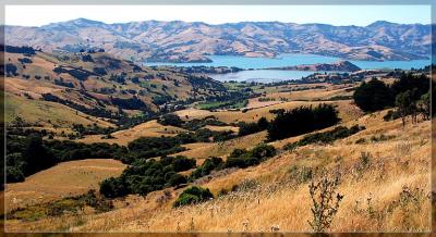 Akaroa Bay *