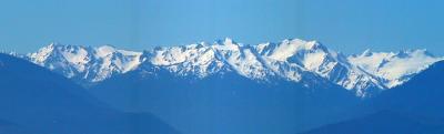 Hurricane Ridge Panoramic