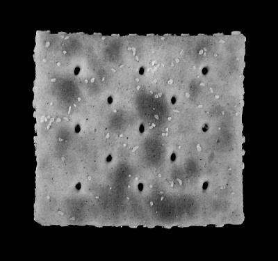 Mounted Cracker *