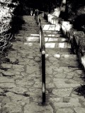 Pathways