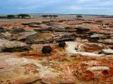 Jurassic landscape (*)