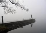 Double focus in the mist  eighth