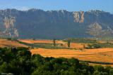 MediterraneanScape*
