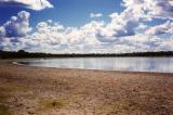 Pantanal