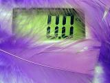 Light as a feather(*)