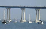 coronado