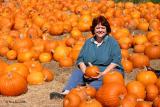 Framed With Pumpkins by Markjay