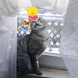 I Am So Innocent... *