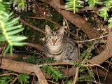 Secret Hiding Place*