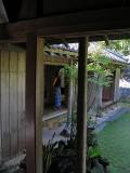 Garden Portrait (*)