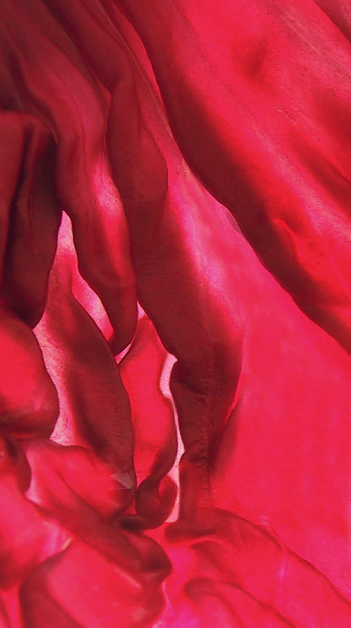 Radiccio Slot Canyon.jpg