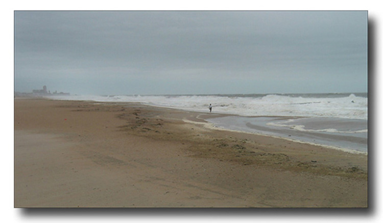 Misty Morning<br>at the Jersey Shore