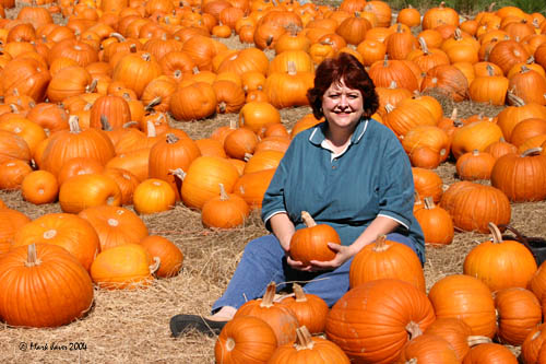 Framed With Pumpkins by Markjay