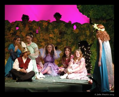 9202_MidSummer_Dream.jpg