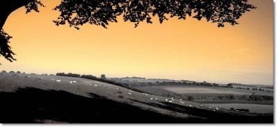 sepia landscape psp