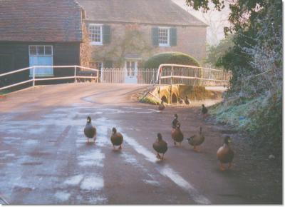 Local photos, Ecchinswell, Newbury. England.