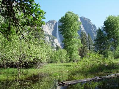 Yosemite Falls YNP 5