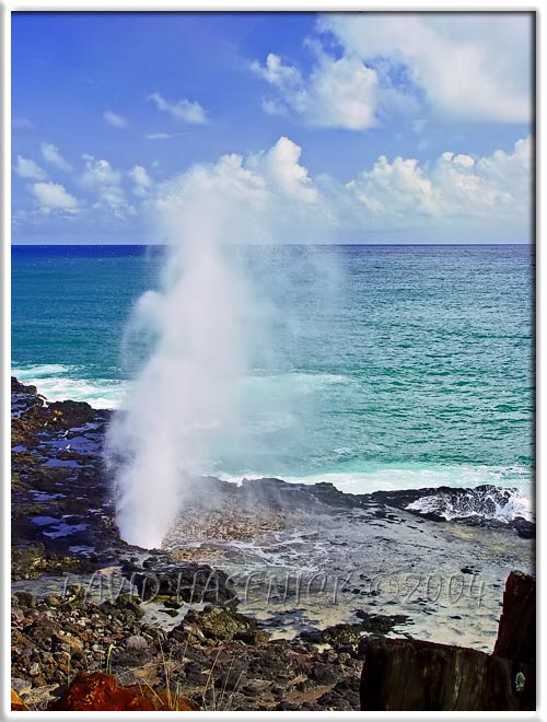 Spouting Horn