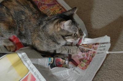String Under the Newspaper